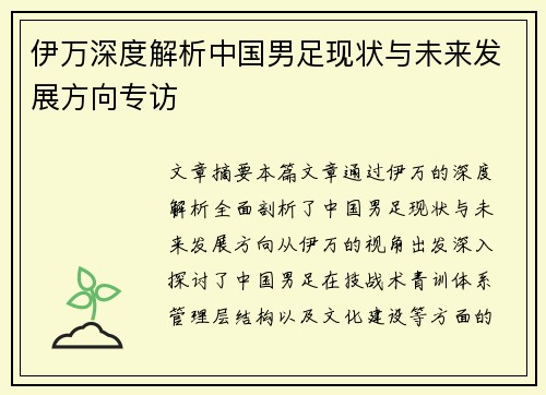 伊万深度解析中国男足现状与未来发展方向专访